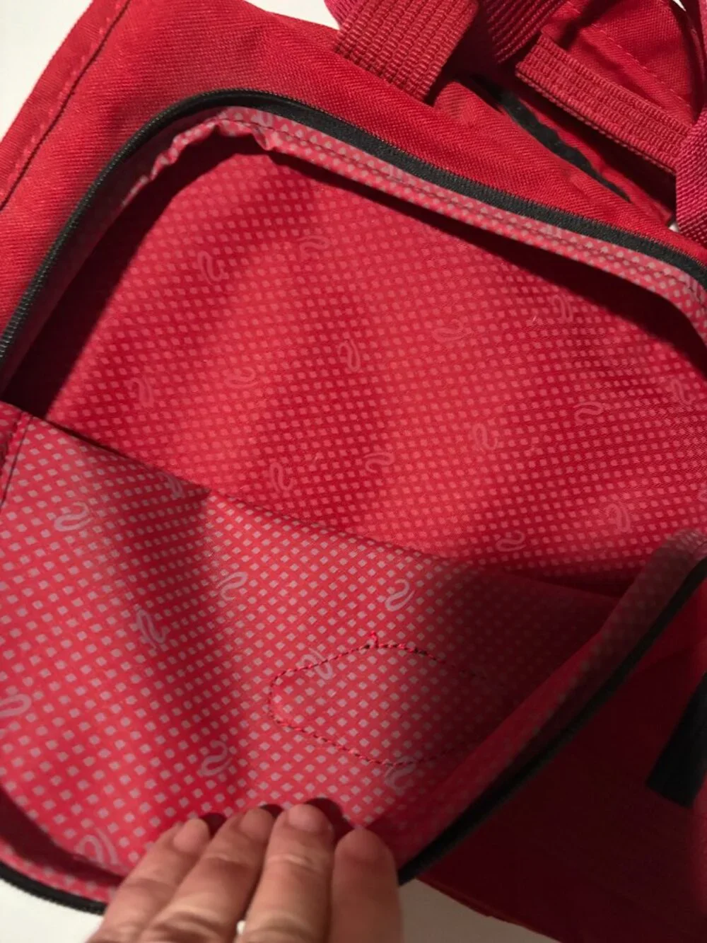 Ricardo Beverly Hills Red Travel Cosmetic Train Case Makeup Organizer Bag